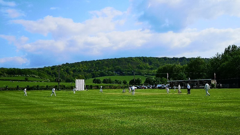 cover photo