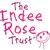 Fundraiser icon