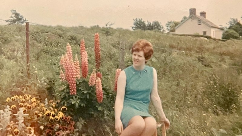 cover photo