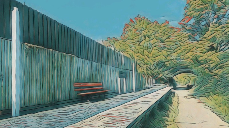 cover photo