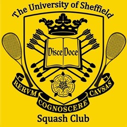 Team logo