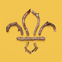 The 9th Barnsley Wombwell Scout Group