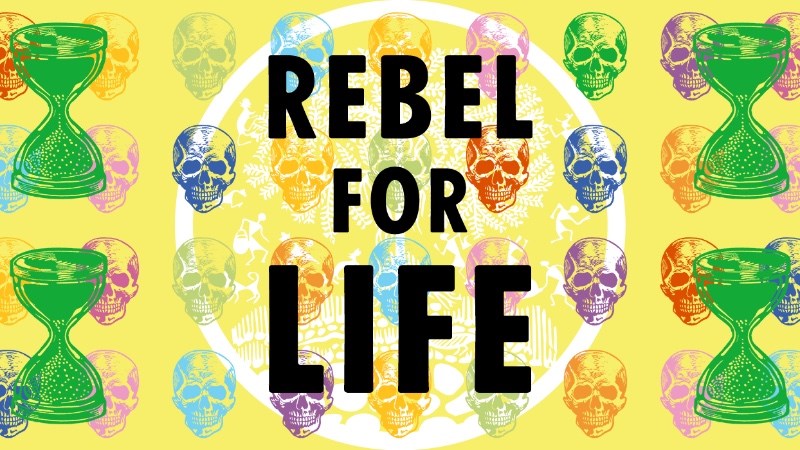 cover photo