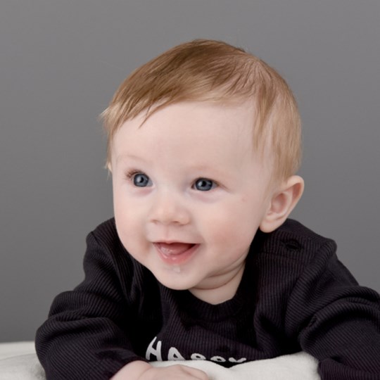 Dexter's Fundraising Page