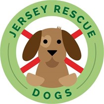 Jersey Rescue Dogs Alison Le Feuvre