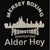 Fundraiser icon