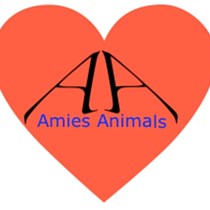 Amies Animals
