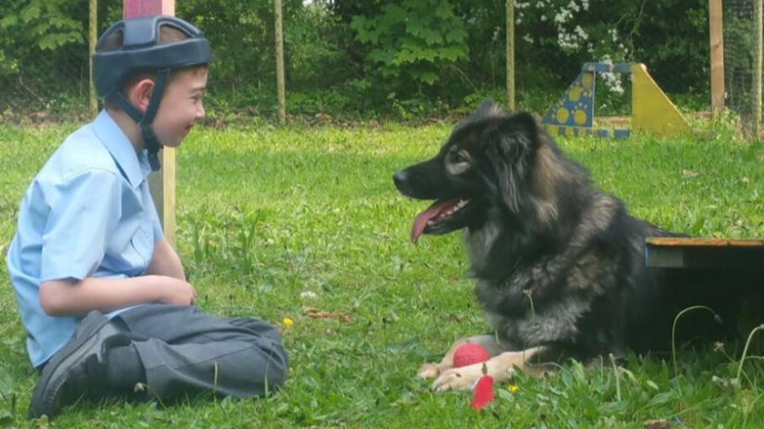 people-don-t-see-eye-to-eye-with-us-when-we-talk-about-stray-dogs