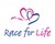 Fundraiser icon