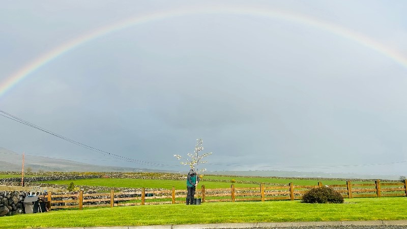 cover photo