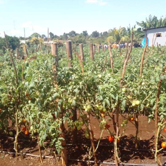 Sexual workers HIV training  to Africa Child Foundation Mission of Tanzani