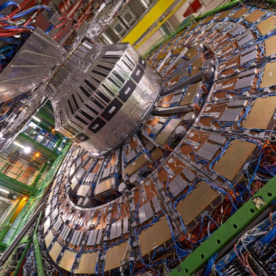 ORGANIZED PHOTON DIGESTATION