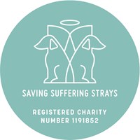 Saving Suffering Strays