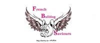 The french bulldog saviours