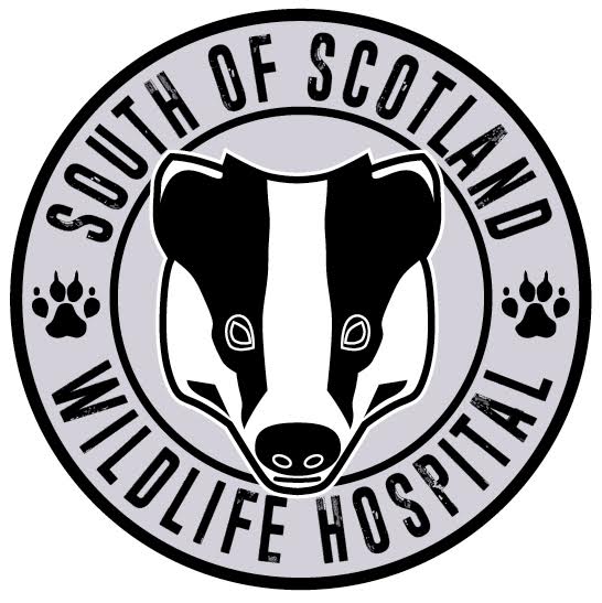 South of Scotland wildlife hospital