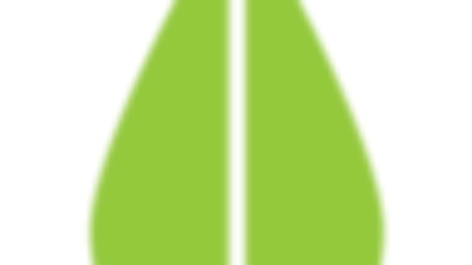 Raul's fundraising page