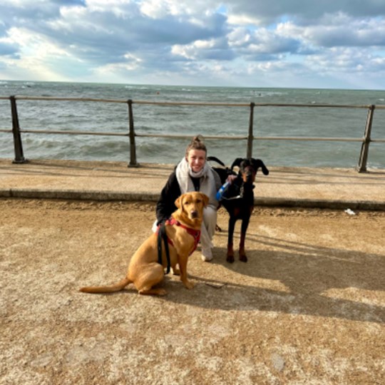 Tilly, Albus and Rex's walking challange