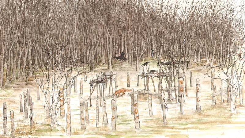 cover photo