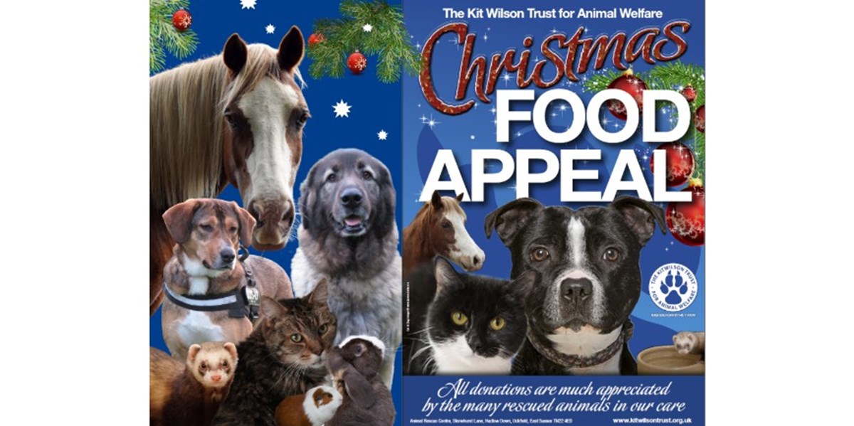 Kit Wilson Trust for Animal Welfare is fundraising for The Kit Wilson