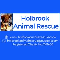 Holbrook Animal rescue