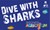 Fundraiser icon