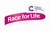 Fundraiser icon