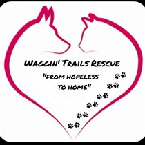 Waggin' Trails Rescue  Reg Charity 1172184