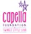 Fundraiser icon