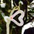 Fundraiser icon