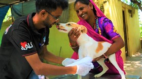 Animal Aid Unlimited - JustGiving Animal Aid Unlimited - JustGiving