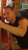 Fundraiser icon