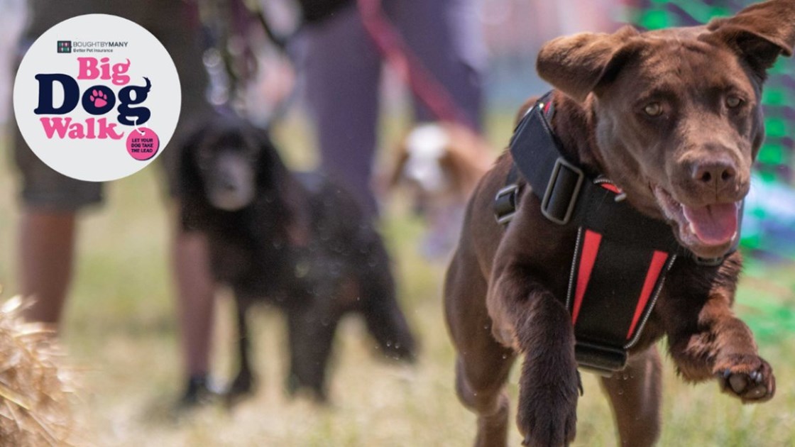 Big Dog Walk 2021 JustGiving