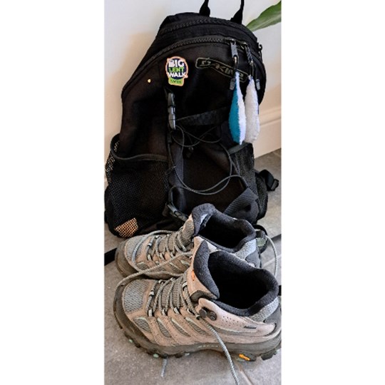 Chris's Cafod Big Walk fundraising page