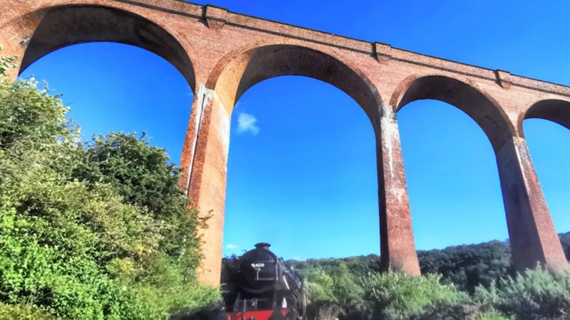 cover photo