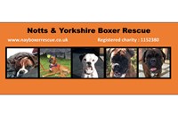 Notts & Yorkshire Boxer Rescue