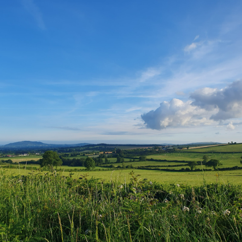 Lorraine's Virtual Camino Walk
