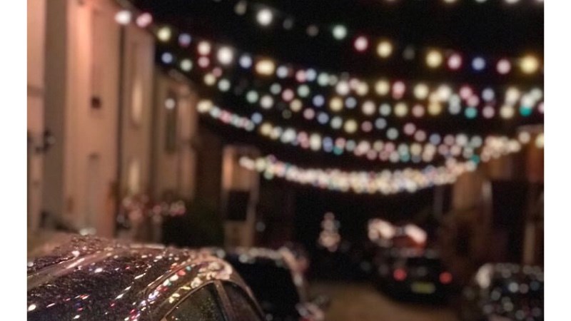 cover photo