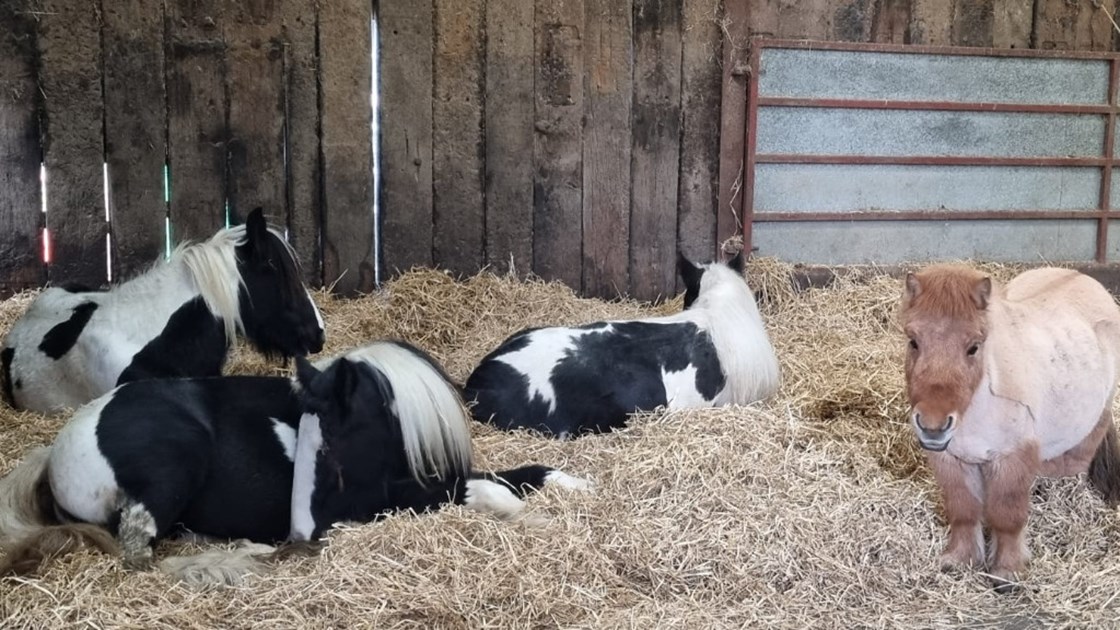 Warm & Cosy Appeal - JustGiving