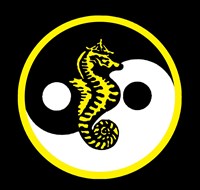 International Taoist Society