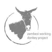 Zambezi Working Donkey Project