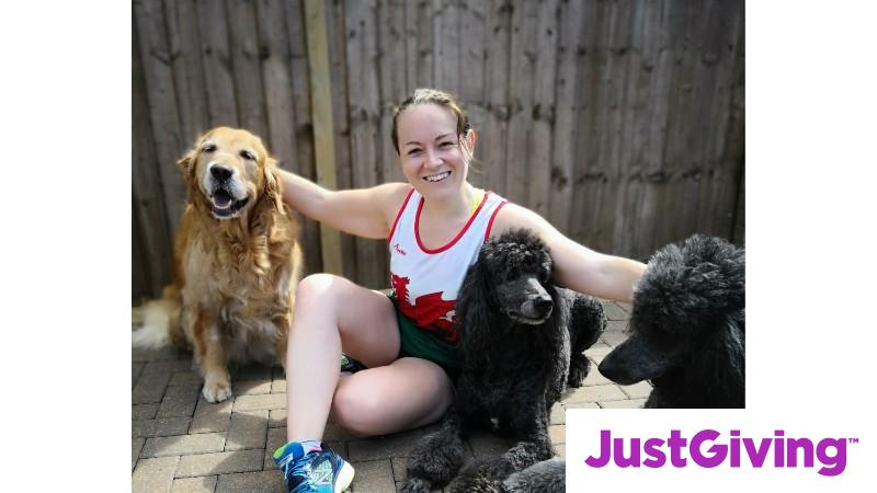 lizzies barn sanctuary