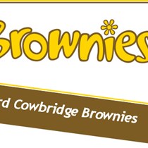 3rd Cowbridge Brownie Unit