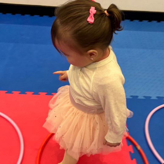 Lily's fundraising page