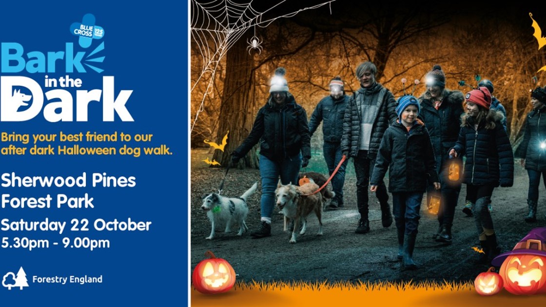 Bark in the Dark 2022 JustGiving