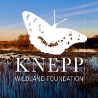 Knepp Wildland Foundation