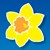 Fundraiser icon