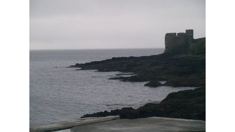 cover photo