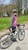 Fundraiser icon