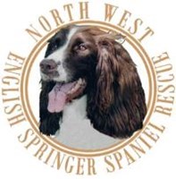 North West English Springer Spaniel Rescue (NWESSR)