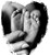 Fundraiser icon